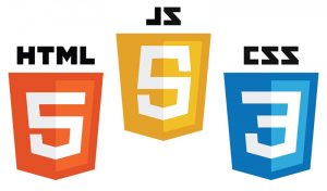 Front-End Development Skills 1